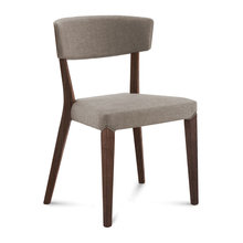 Modern Dining chairs