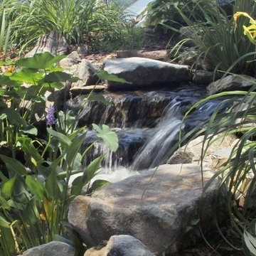 Pond builds