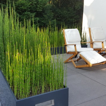 Hausgarten Peek - "Cube Garden"