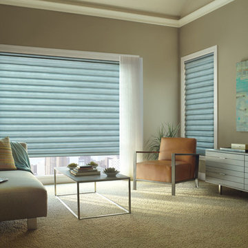 Hunter Douglas Roman Shades