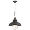 Cage Industrial Lantern Pendant Light, Black and Gold