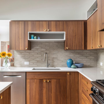 Cohesive Mid-Century Modern Interior Remodel in Ann Arbor, Michigan