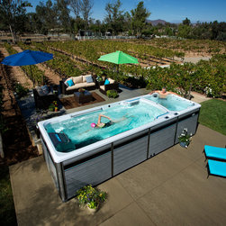 Endless Pools - Endless Pools Fitness Systems E2000 Swim Spa - Outdoor Products