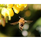Caryn Moran-Fitzpatrick's photo