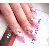 Susan Loasby's photo
