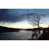 Elle Raj's photo