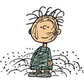 Sue Davis's photo