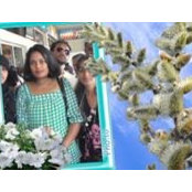 Foto von Deepali Samad
