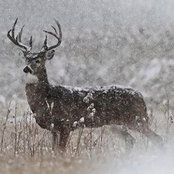 Miguel Martinez Sr.'s photo