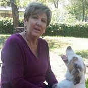 Cindy Calhoun's photo