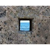 Patrizia D'Ambrosio's photo