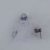 Josh Behr's photo