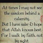 Humera Javed's photo