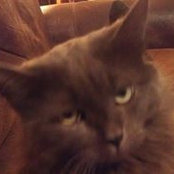 Shannon Leblanc's photo