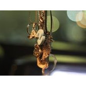 Sahar Bourgi's photo