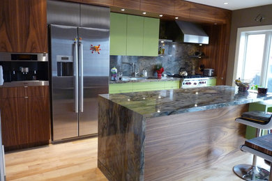 Kitchen - contemporary kitchen idea in Toronto