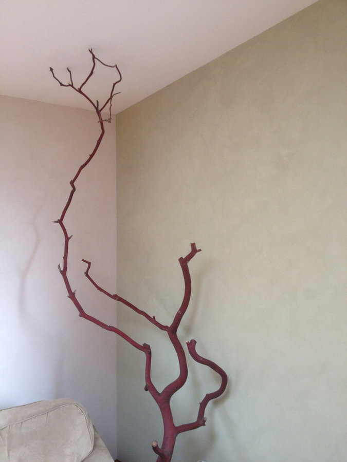 Madrone branch and American Clay plaster