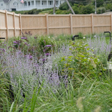 Modern Oceanfront Landscape - Cohasset