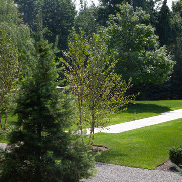 Mature Landscape and Infinity-Edge Pool