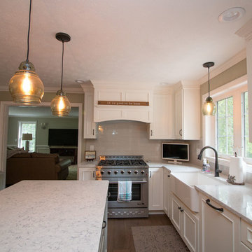 Classic, Traditional & Transitional White Icing kitchen remodel