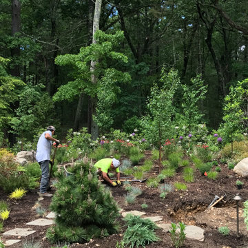 Soft Woodland Sweeps