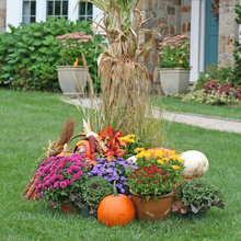 Tablescapes / Floral Design