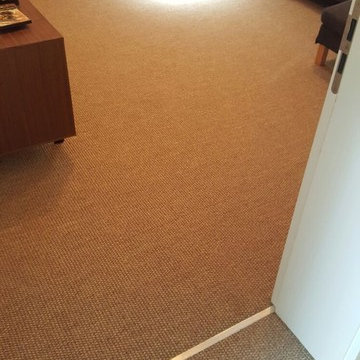 Carpet Installation to Living Room