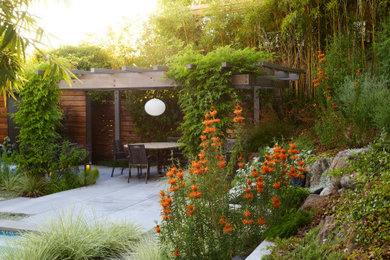 Inspiration for a 1950s backyard concrete paver patio remodel in San Francisco with a pergola