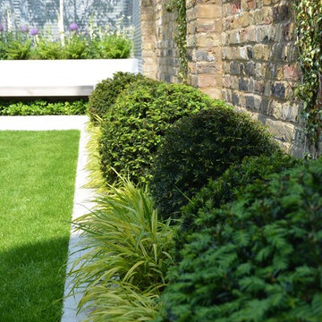 Clapham Garden