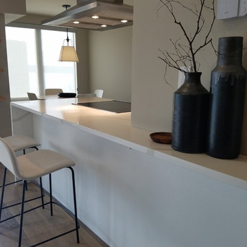 Queen Anne, Seattle -Condo Renovation