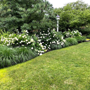 Large suburban front yard berm