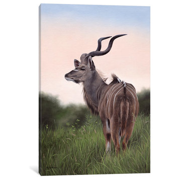 Kudu by Rachel Stribbling Canvas Print, 26"x18"x1.5"