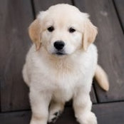 Ken Huang's photo