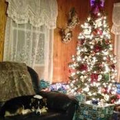 Andi Dieckman's photo