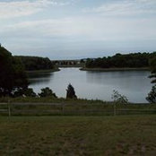 Sharon Chatterton's photo