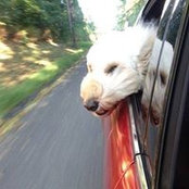 Anthony Maisano's photo