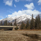 Leigh Stephens's photo