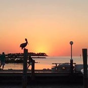 Janet Stout's photo