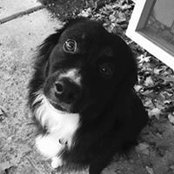 Thomas Rupp's photo