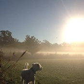 Cindy Filicetti's photo
