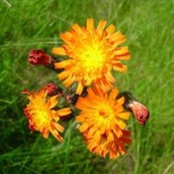 Sherri Stanley's photo