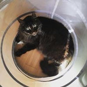 Danielle Gilbertson's photo
