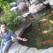 Hadi Chandra's photo