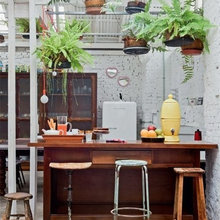 Air-Cleaning Houseplants