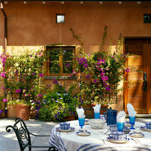 La Paloma Style