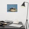Sunshine Rock (Turtles) Wildlife Photography Unframed Wall Art Print, 12" X 16"