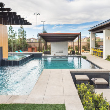 Contemporary Transitional Home