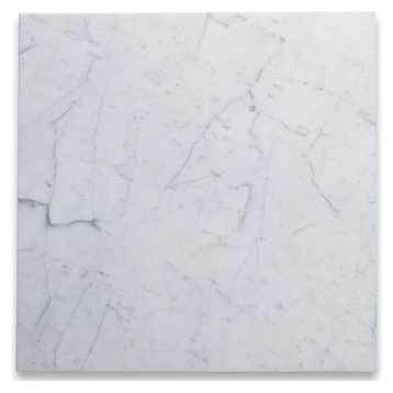 24x24 Carrara White Tile Polished Bianco Venato Carrera Marble Floor, 100 sq.ft.
