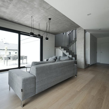 Living room with fireplace in a loft style house interior in Rokietnica