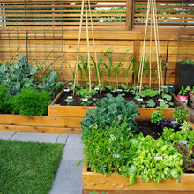 Gardening